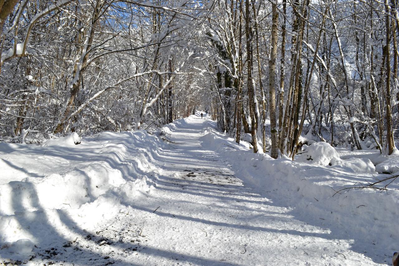La Cle Des Bois Bed & Breakfast Le Bourg-d'Oisans Bagian luar foto